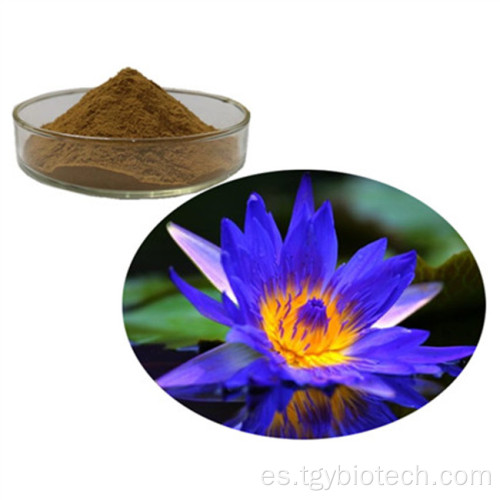 Polvo de extracto de flores de loto azul al por mayor de calidad de calidad